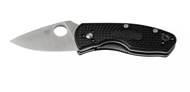 Spyderco Ambitious Lightweight C148PBK, pocket knife